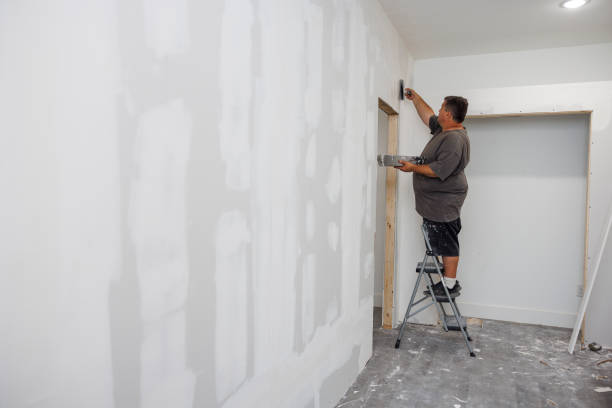 Best Comprehensive Air Testing for Mold Contaminants  in Viera West, FL